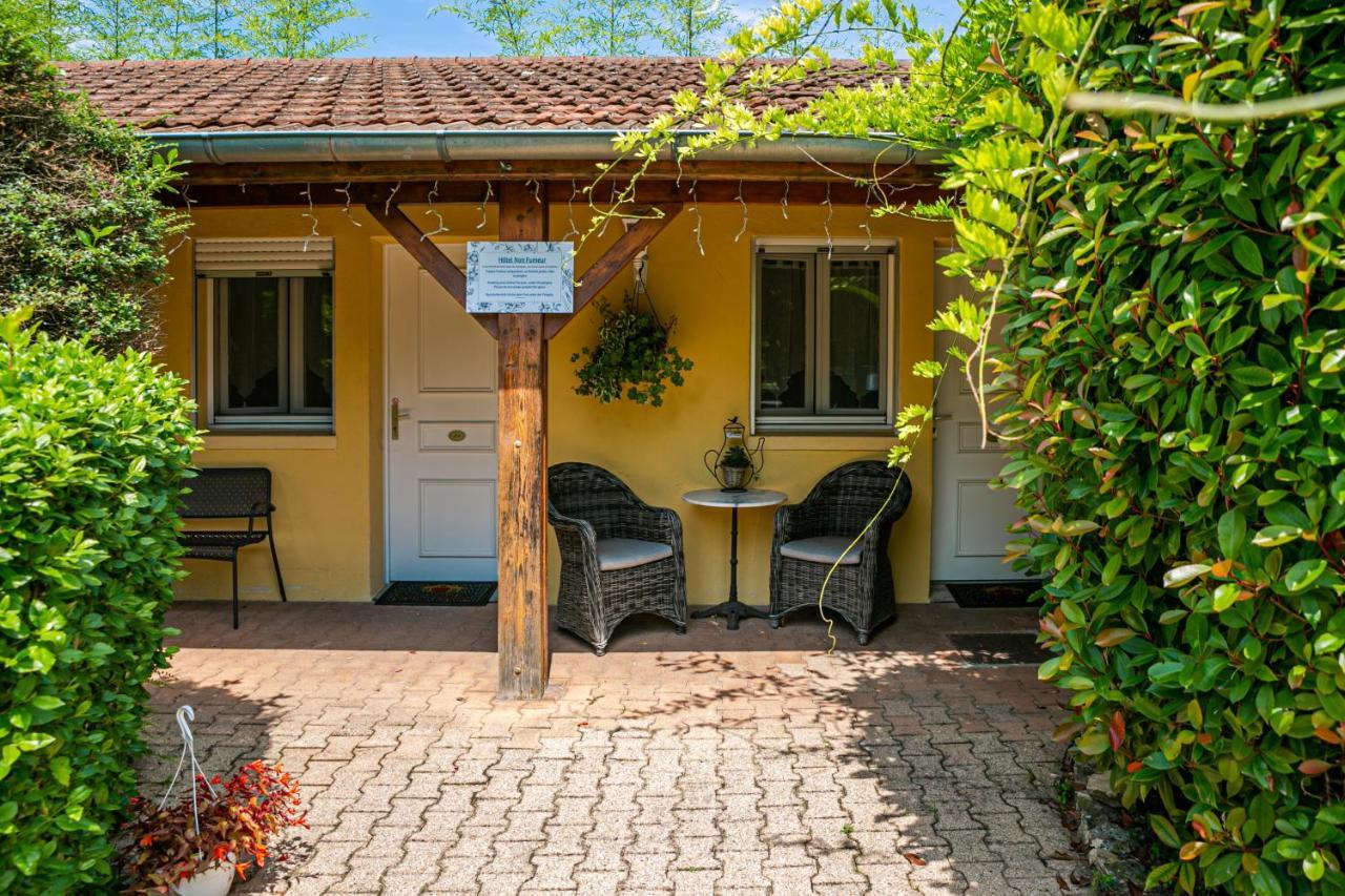 Hotel Des Dauphins Bourgoin-Jallieu Kültér fotó